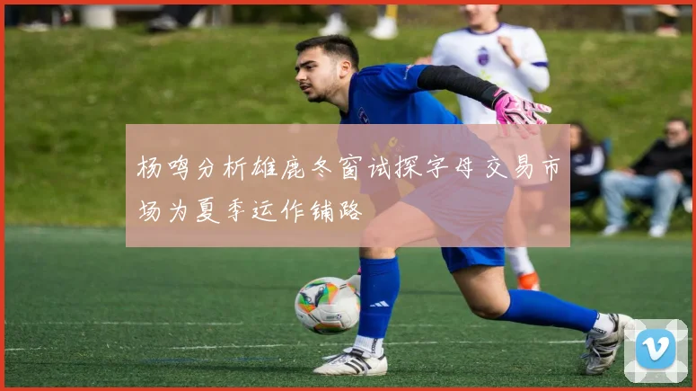 杨鸣分析雄鹿冬窗试探字母交易市场为夏季运作铺路